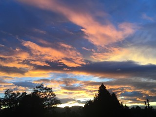atardecer rosa