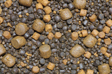 Close-up on fish food used in aquaculture