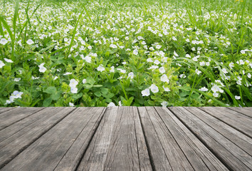 Empty wooden table or garden pathOld wooden table against the background of green grass and white flowers.