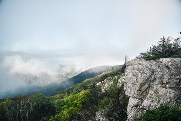 Shenandoah National Park in Virginia in Summer