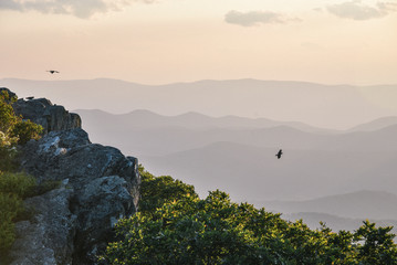 Fototapeta premium Sunset View in Shenandoah National Park in Virginia in Summer