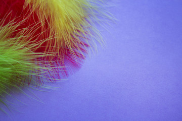 Background for carnival posters. Colorful festive background. Colorful feathers on a purple background.