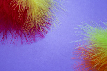 Background for carnival posters. Colorful festive background. Colorful feathers on a purple...