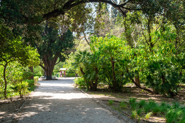 Park curved soil pathways with trees and green low grass. park in Athens, Greece