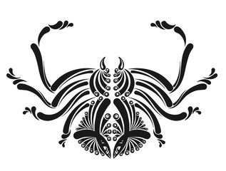 Spider decorative image