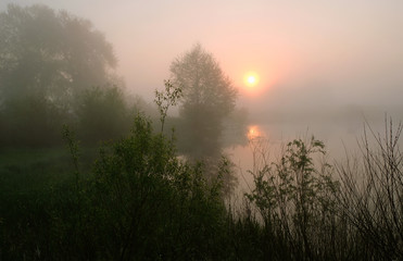 Fototapeta premium Foggy morning. Dawn outside the city. It will be a warm day.