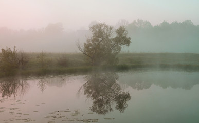 Obraz na płótnie Canvas Foggy morning. Dawn outside the city. It will be a warm day.