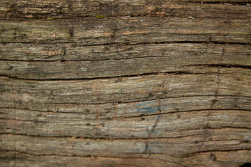 Close View Old Brown Tree Bark Background Stock Image, old wooden texture.