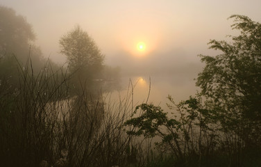 Fototapeta premium Foggy morning. Dawn outside the city. It will be a warm day.