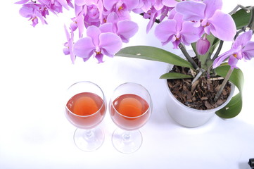 cup of tea with flowers