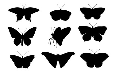 Vector set of butterflies. Hand drawn black silhouettes of atlas moth, weevil, butterfly, goliath, Hercules beetle, Spanish fly. Set of tropic bugs  outlines