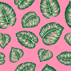 Vector seamless pattern of green monstera leaves on bright pink background. Repeat tropical backdrop. Exotic jungle wallpaper.
