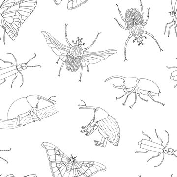 Vector seamless pattern of tropical insects. Repeat background of hand drawn outlines of atlas moth, weevil, butterfly, goliath, Hercules beetle, Spanish fly. Cute ornament of tropic bugs