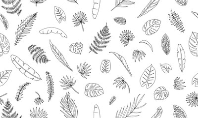 Vector seamless pattern of tropical plant leaves. Repeat background of jungle foliage. Hand drawn palm tree, banana, monstera, dieffenbachia, Terminalia, fern, alocasia, cordyline. Home tropic leaf