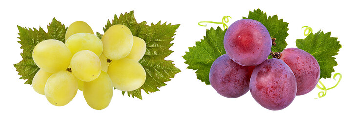 Fresh grapes isolated on white background with clipping pass