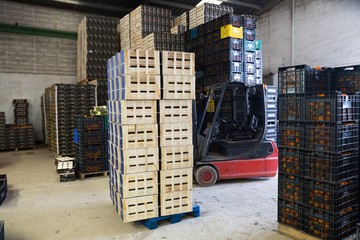 Ripe mandarins packed in boxes © JackF