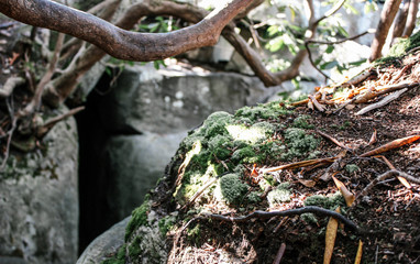 Hike to The Great Channels Slot Canyon in the Mountains of Virginia 