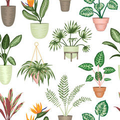 Vector seamless pattern of tropical houseplants in pots isolated on white background. Bright realistic strelitzia, monstera, alocasia, dieffenbachia, cordyline. Repeat background for home decoration.