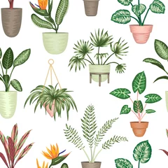 Wall murals Plants in pots Vector seamless pattern of tropical houseplants in pots isolated on white background. Bright realistic strelitzia, monstera, alocasia, dieffenbachia, cordyline. Repeat background for home decoration.