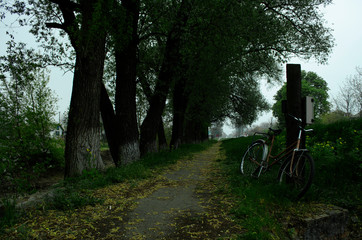 Fototapeta na wymiar A spring walk on the bike