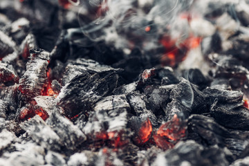 the dying fire, burning firewood, embers of a dying fire