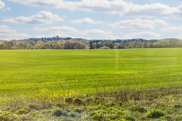 large green field and trees in the background. The view from the train window.