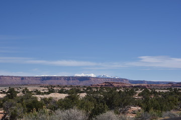 Canyonlands National Park, Utah. U.S.A. Beautiful red rock mountains, pinyon and juniper pine trees and majestic views