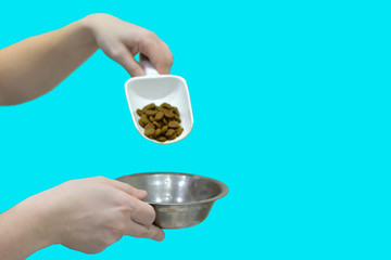 Fototapeta na wymiar Hands on a blue background spill animal feed. Pet food dosages.