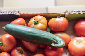 Fresh red organic tomatoes, all good for a healthy juicy vegetarian salad