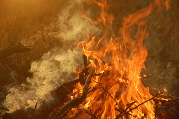 Fire © pashkagold