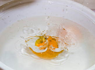 Areca catechu of India