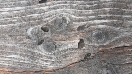 Obraz premium Old gray vintage wooden planks boards closeup for background.
