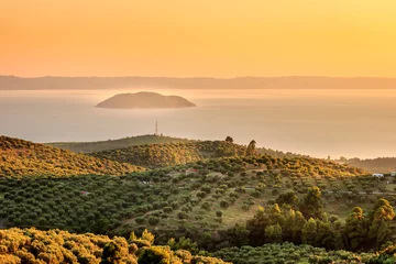 Fototapeten Dunstiger, goldener Stundenblick auf die Olivenplantage über dem Meer und die ferne Schildkröteninsel in Griechenland © Nikola
