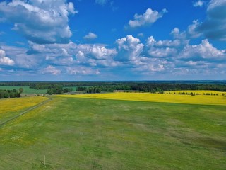 green field and blue sky in Minsk Region of Belarus