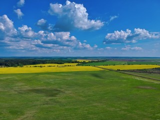 Fototapeta na wymiar green field and blue sky in Minsk Region of Belarus