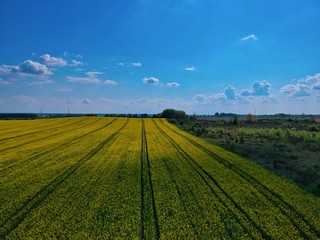 Aerial view of green field  in Minsk Region of Belarus