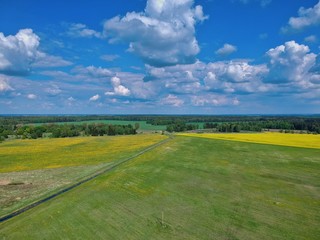 green field and blue sky in Minsk Region of Belarus