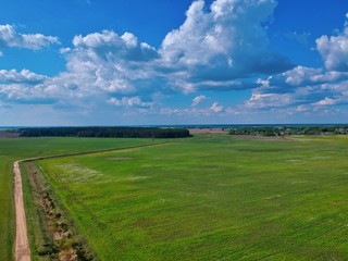 Fototapeta na wymiar green field and blue sky in Minsk Region of Belarus
