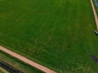 green grass background in Minsk Region of Belarus