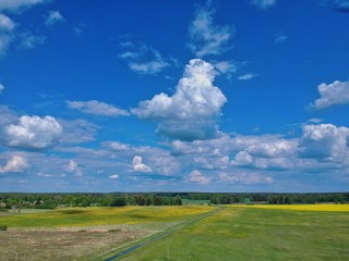 Fototapeta na wymiar Aerial view of green field in Minsk Region of Belarus