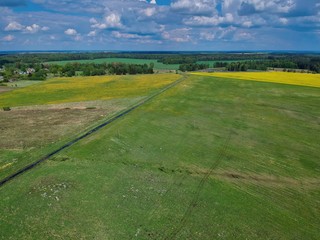 landscape with green field and blue sky in Minsk Region of Belarus