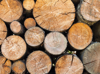 Stack of firewood. Wood logs.