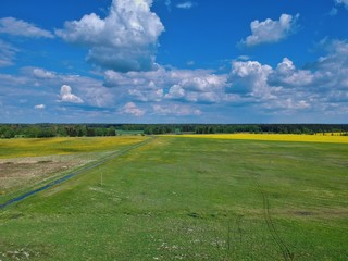 Obraz premium green field and blue sky in Minsk Region of Belarus