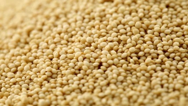 Heap of raw, uncooked amaranth seeds rotating close up full frame view