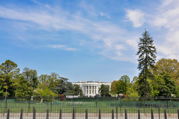 Fototapeta na wymiar the white house