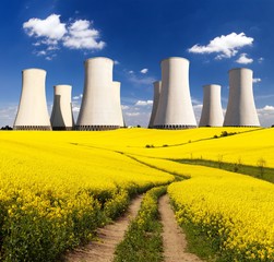rapesed field nuclear power plant cooling tower