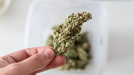 culture of smoking marijuana in the world. Medical cannabis ways