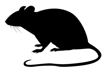 Motif noir d'un rat sur fond blanc