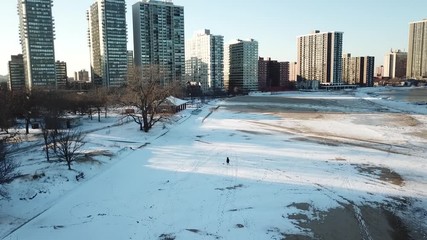 Woman walking with a dog in winter 
