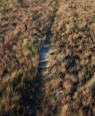 The path in the dry grass in the field